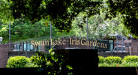 Swan Lake Iris Gardens